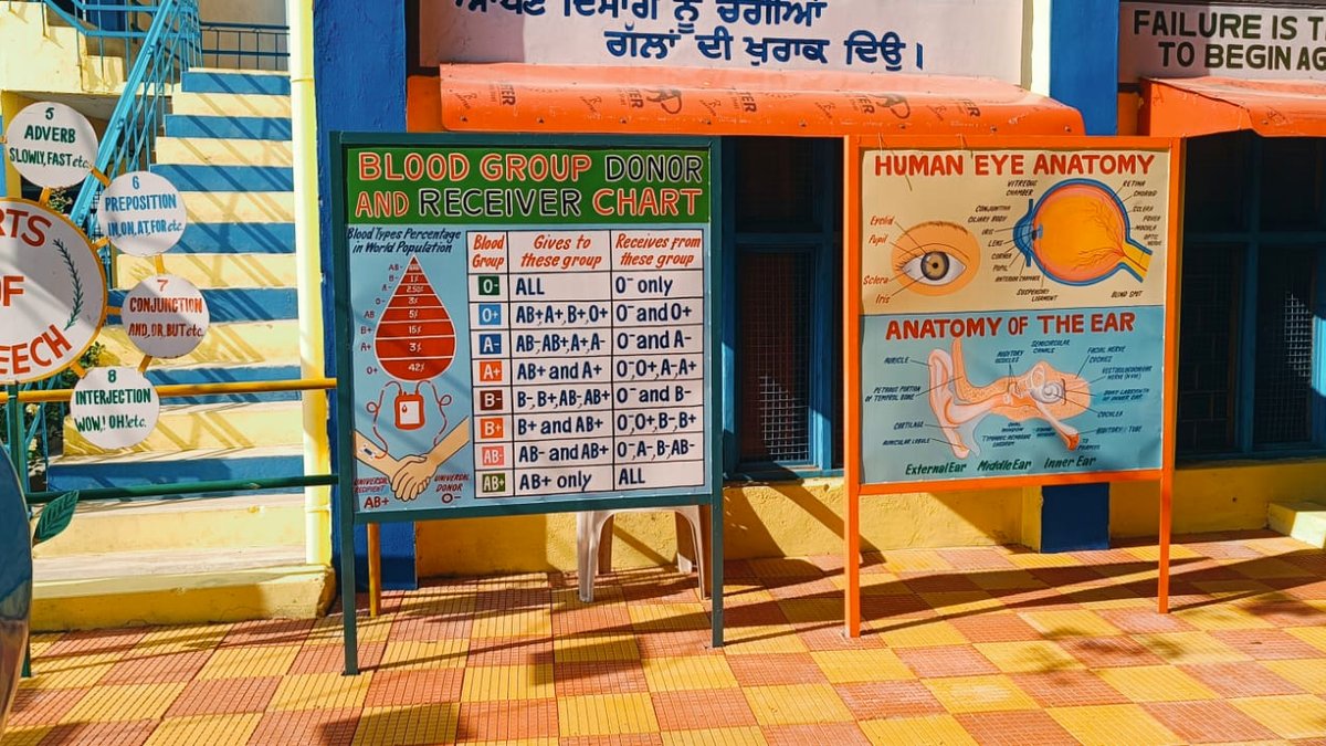 Blood group donor chart and human eye and ear anatomy charts